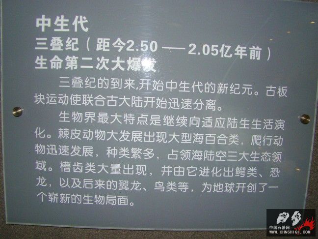 DSC01835.JPG