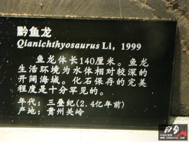 DSC01847.JPG