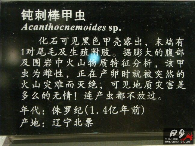 DSC01853.JPG
