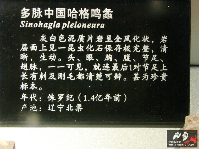 DSC01857.JPG