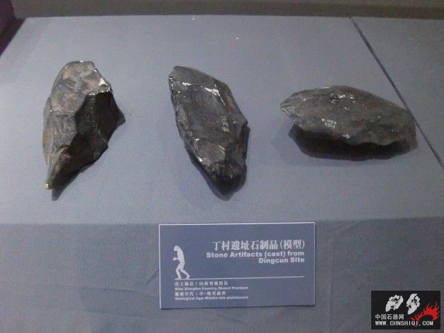 CIMG2572.JPG