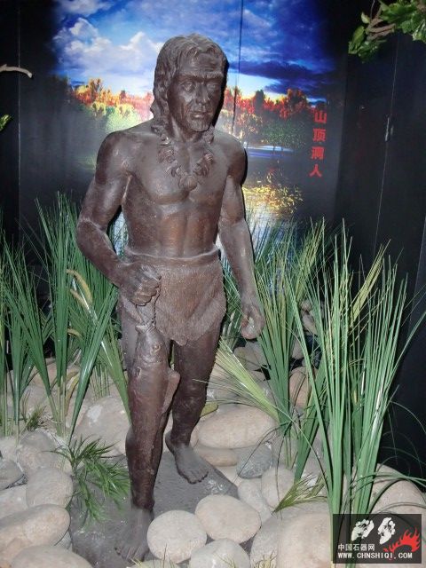 CIMG2581.JPG