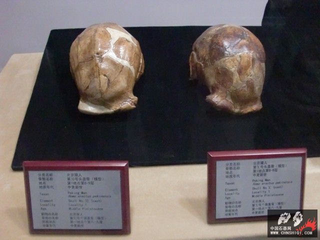 CIMG2593.JPG