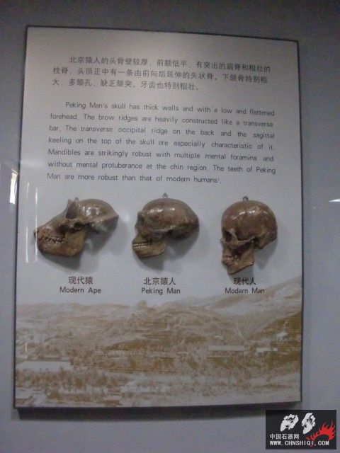 CIMG2596.JPG