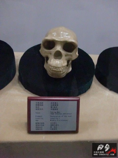 CIMG2599.JPG