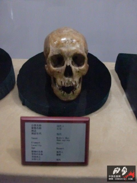 CIMG2600.JPG