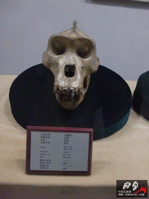 CIMG2598.JPG