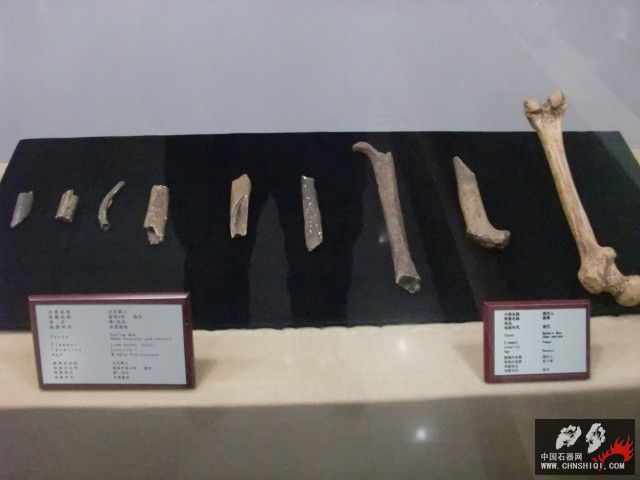 CIMG2603.JPG