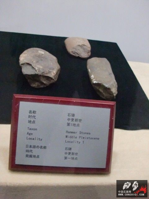 CIMG2611.JPG