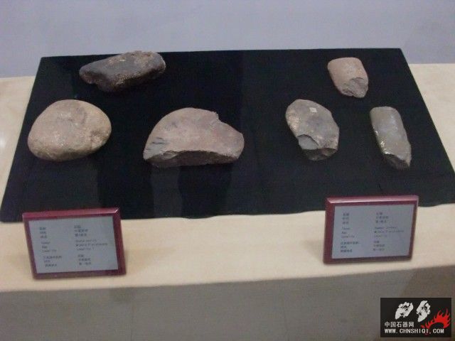 CIMG2608.JPG