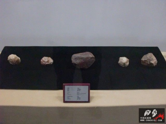 CIMG2616.JPG