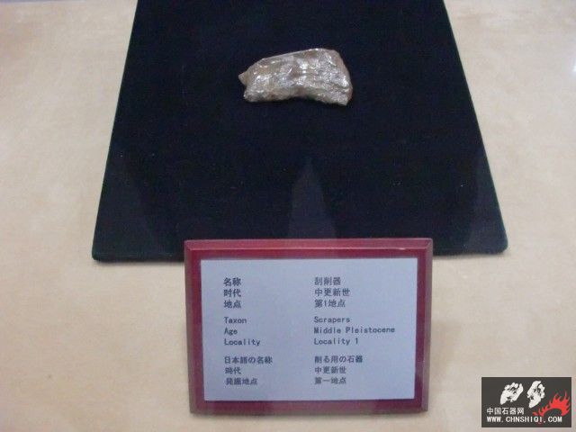 CIMG2621.JPG