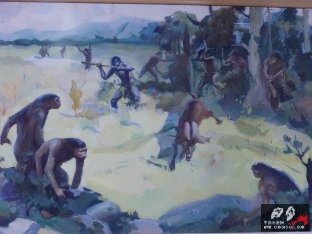CIMG2634.JPG
