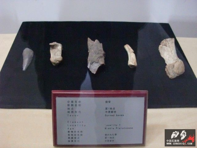 CIMG2636.JPG