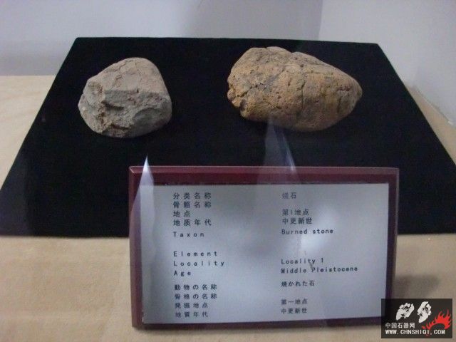 CIMG2637.JPG