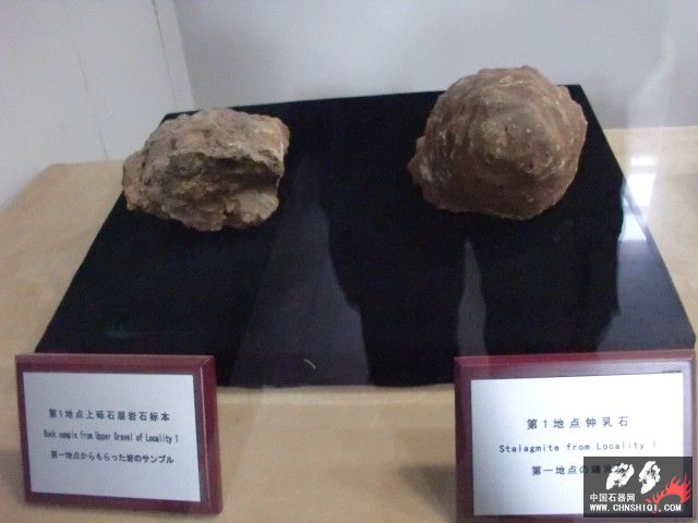 CIMG2654.JPG