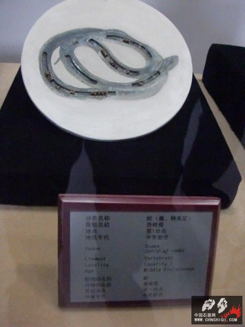CIMG2655.JPG