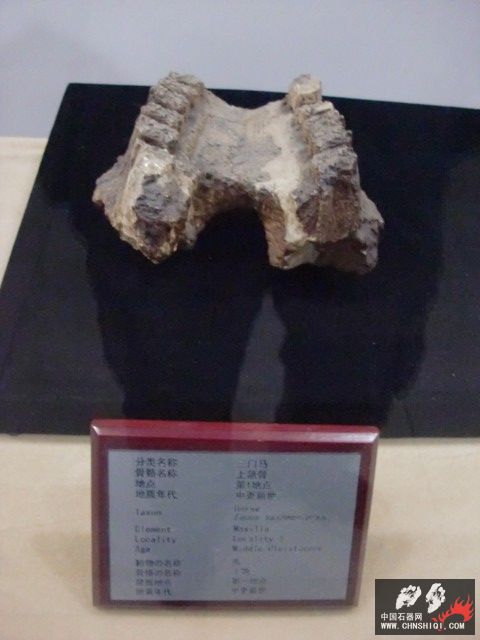CIMG2668.JPG