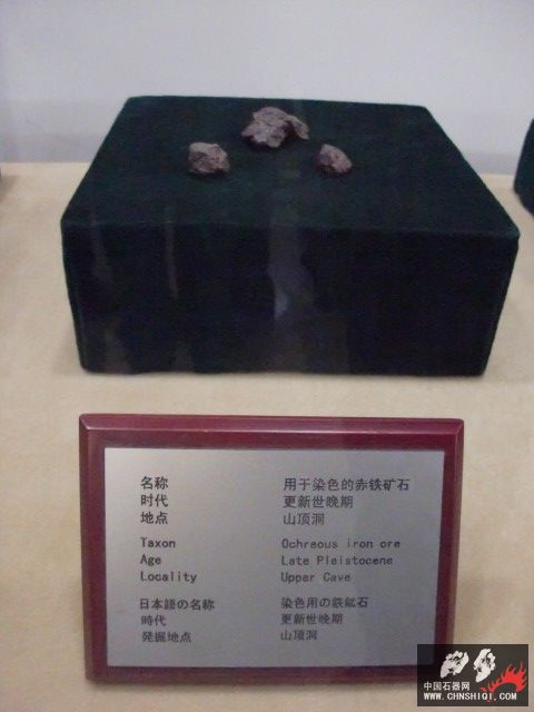 CIMG2736.JPG