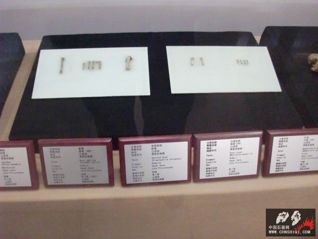 CIMG2739.JPG