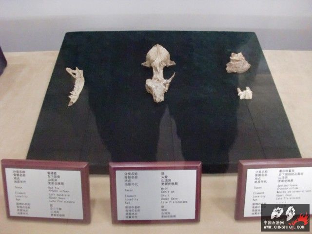 CIMG2744.JPG