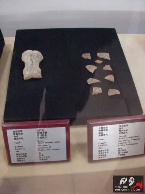CIMG2752.JPG