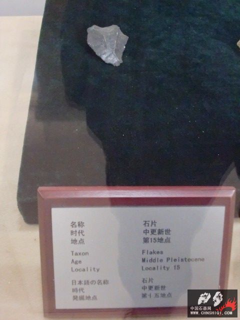 CIMG2754.JPG