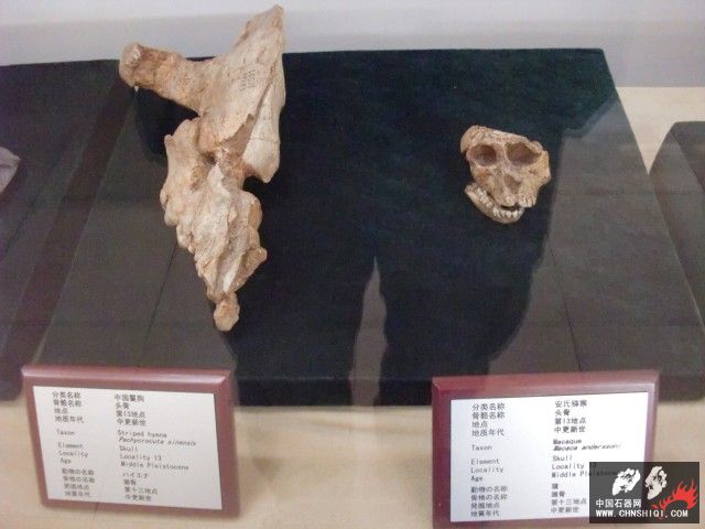 CIMG2760.JPG