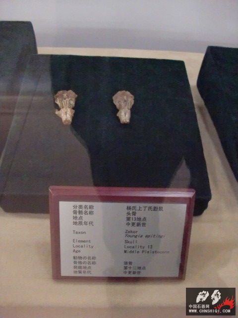 CIMG2761.JPG