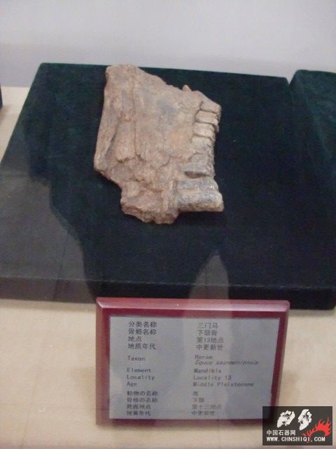 CIMG2767.JPG