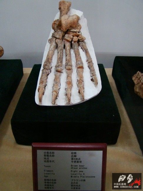 DSC00001.JPG