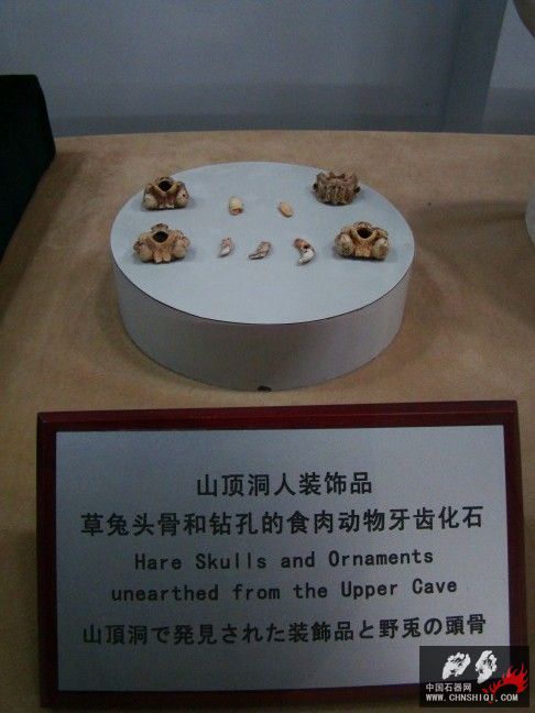 DSC00006.JPG