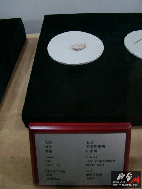 DSC00005.JPG