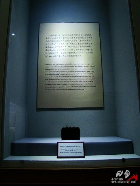 DSC09767.JPG