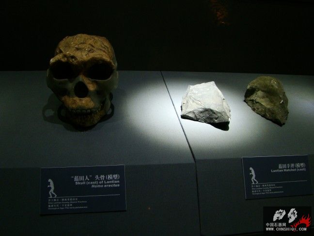 DSC09780.JPG