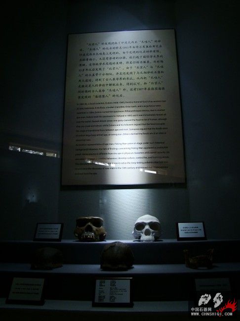 DSC09778.JPG
