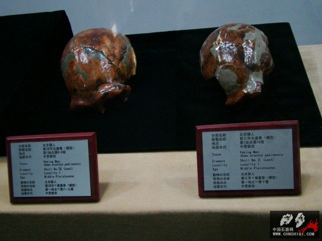 DSC09808.JPG