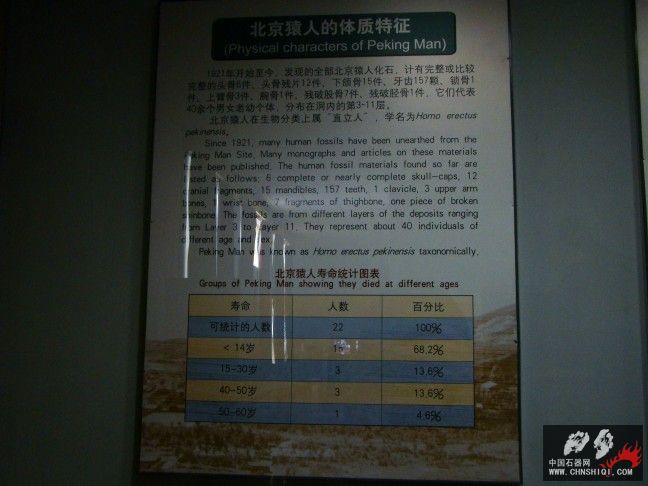 DSC09810.JPG