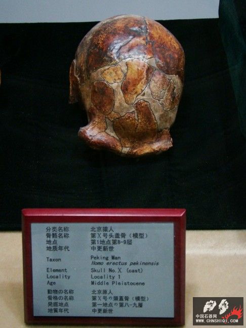 DSC09806.JPG
