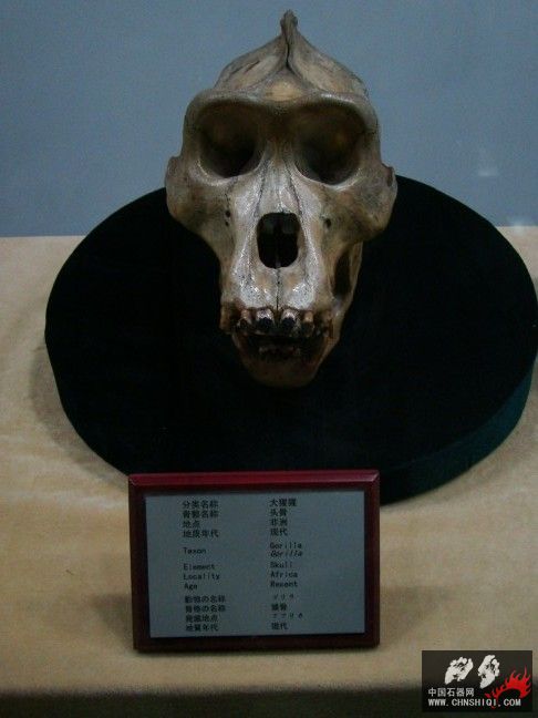 DSC09811.JPG