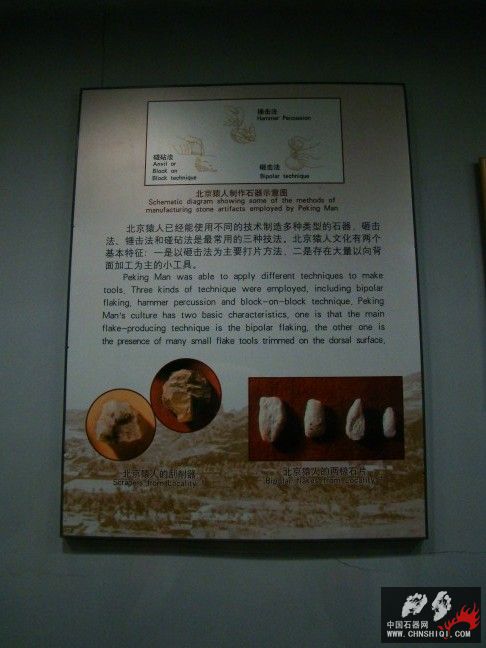 DSC09828.JPG