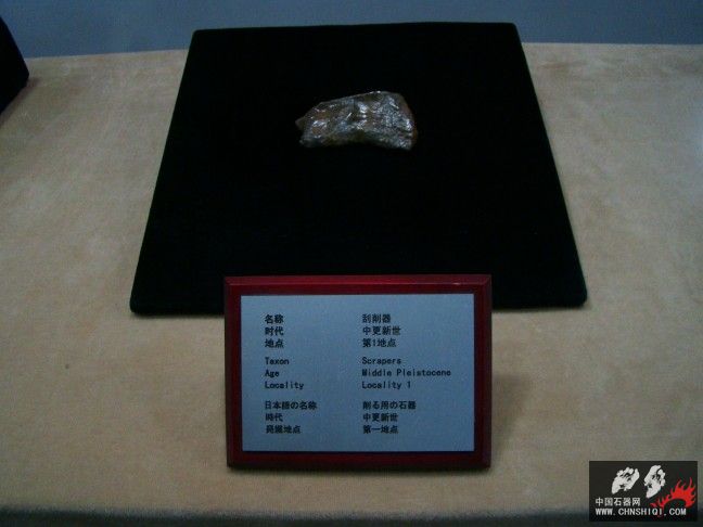 DSC09830.JPG