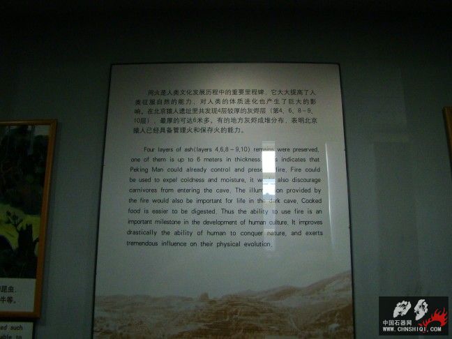 DSC09837.JPG