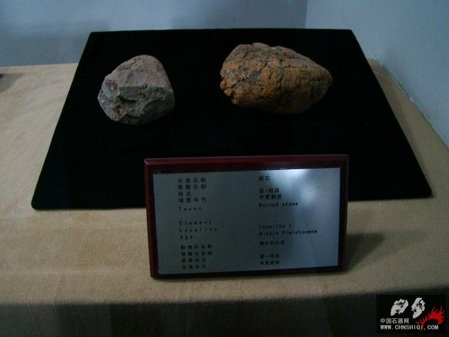 DSC09840.JPG
