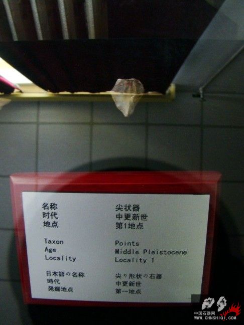 DSC09845.JPG