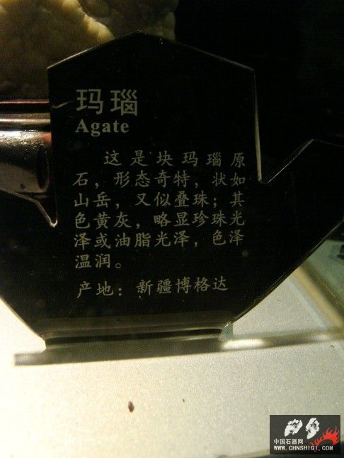 DSC01507.JPG