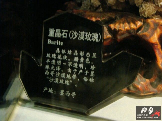 DSC01511.JPG