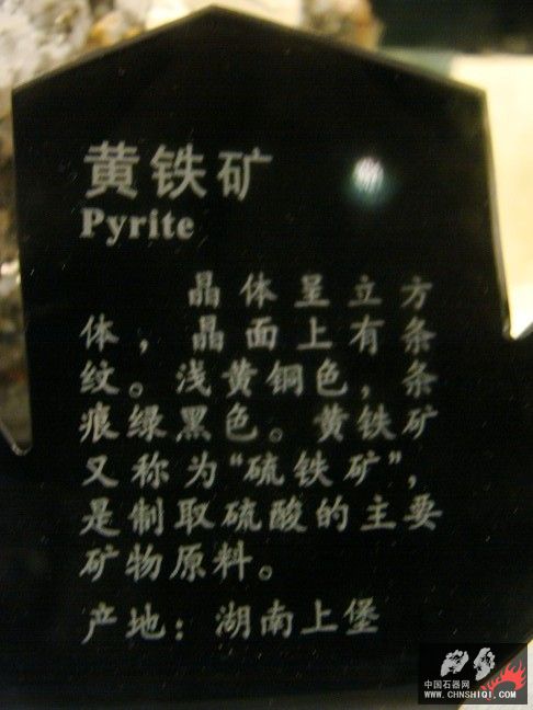 DSC01516.JPG