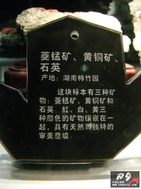 DSC01514.JPG