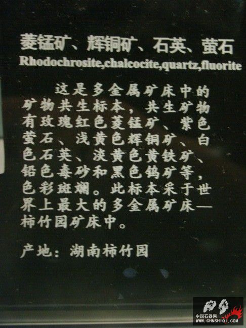 DSC01527.JPG